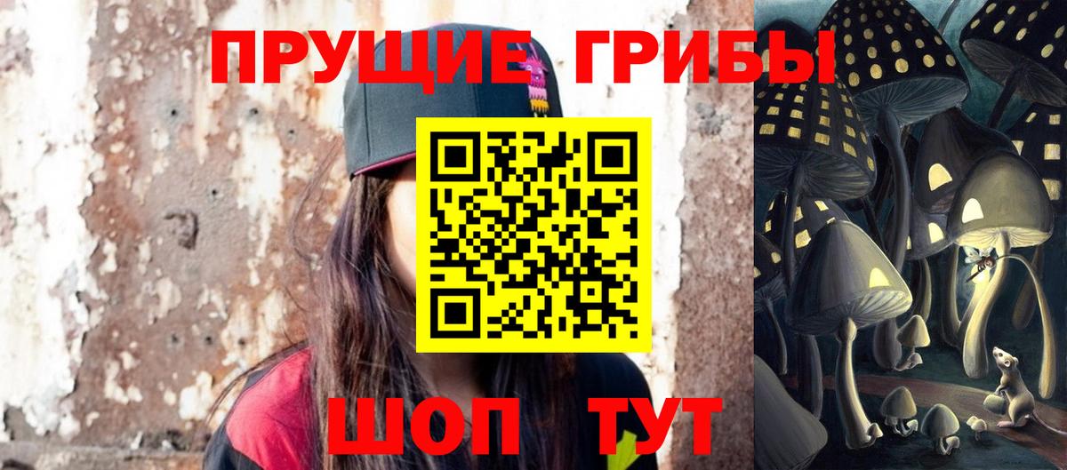 Кохма  Псилоцибиновые грибы ЛСД  Вход с VPN 